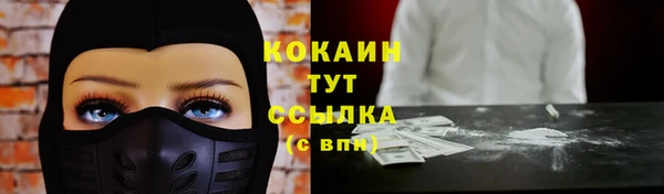 дживик Остров