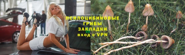 дживик Остров