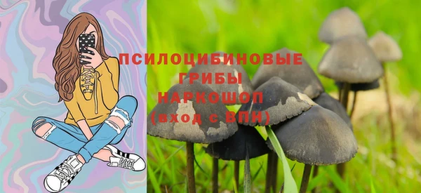 дживик Остров