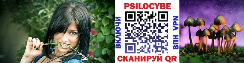Галлюциногенные грибы Magic Shrooms  где можно купить   Серафимович 